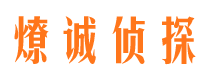 翠屏市私家侦探